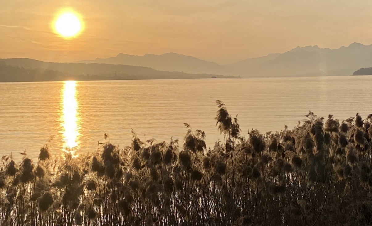 Golden lake at sunset